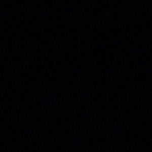 Meet your Posher, Maddie